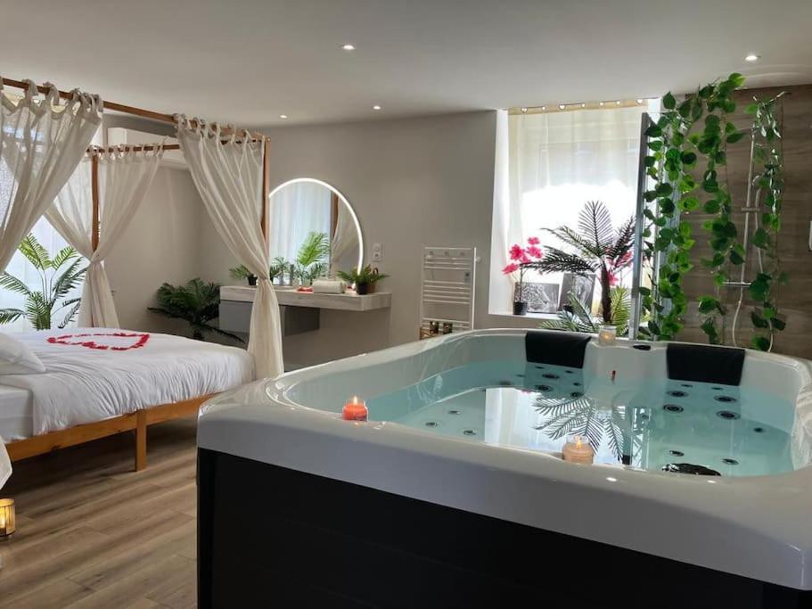 Jungle Secret Spa Nuit Insolite Giromagny ภายนอก รูปภาพ